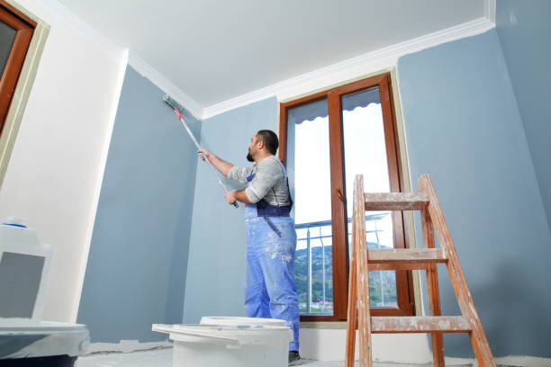 Best Commercial Mold Inspection  in New Franklin, MO