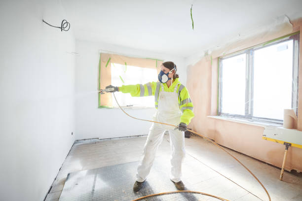 Professional Mold Removal in New Franklin, MO