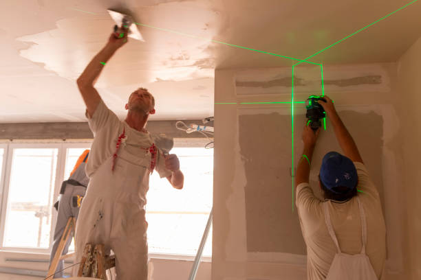 Best Mold Remediation for Healthcare Facilities  in New Franklin, MO